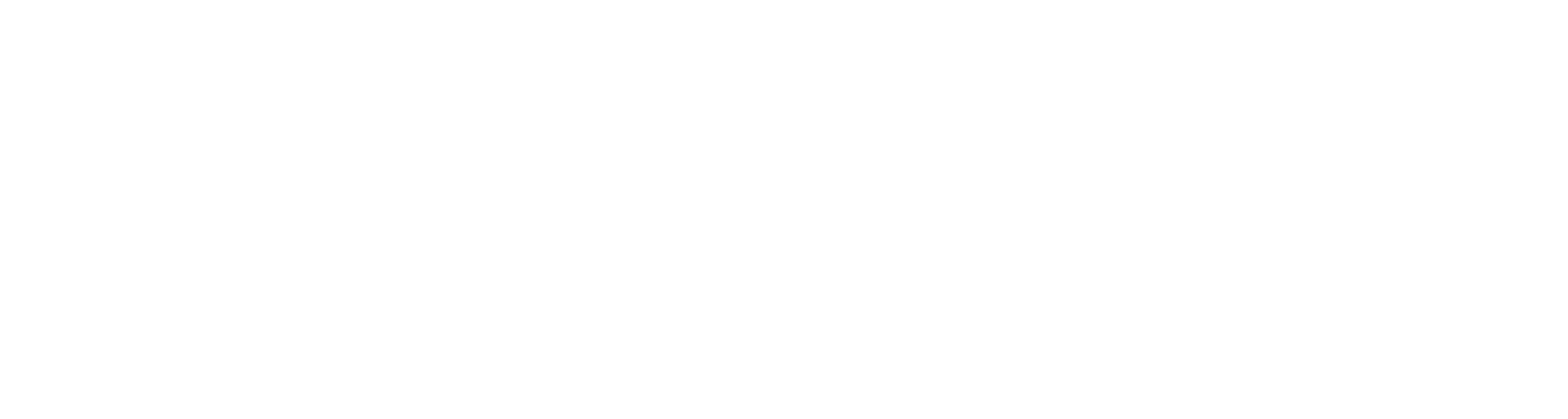 Agri Business Innov Guinée